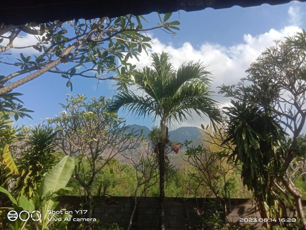 Tirta Bali Homestay Pemuteran Екстериор снимка