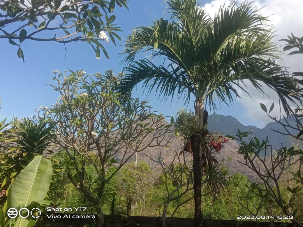 Tirta Bali Homestay Pemuteran Екстериор снимка